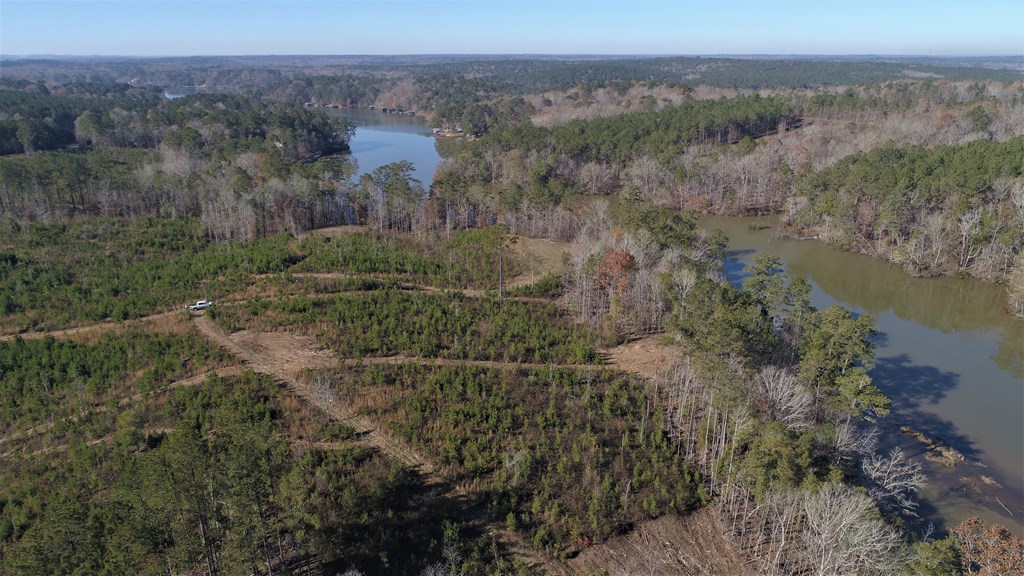 8 Lickskillet Road Hamilton, GA 31811 - Photo 3 of 7