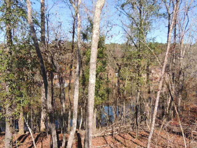 8 Lickskillet Road Hamilton, GA 31811 - Photo 7 of 7
