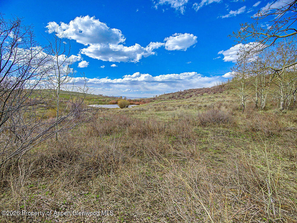 1351 Fiddleneck Drive Craig, CO 81625 - Photo 14 of 16 a view of a flower in a yard