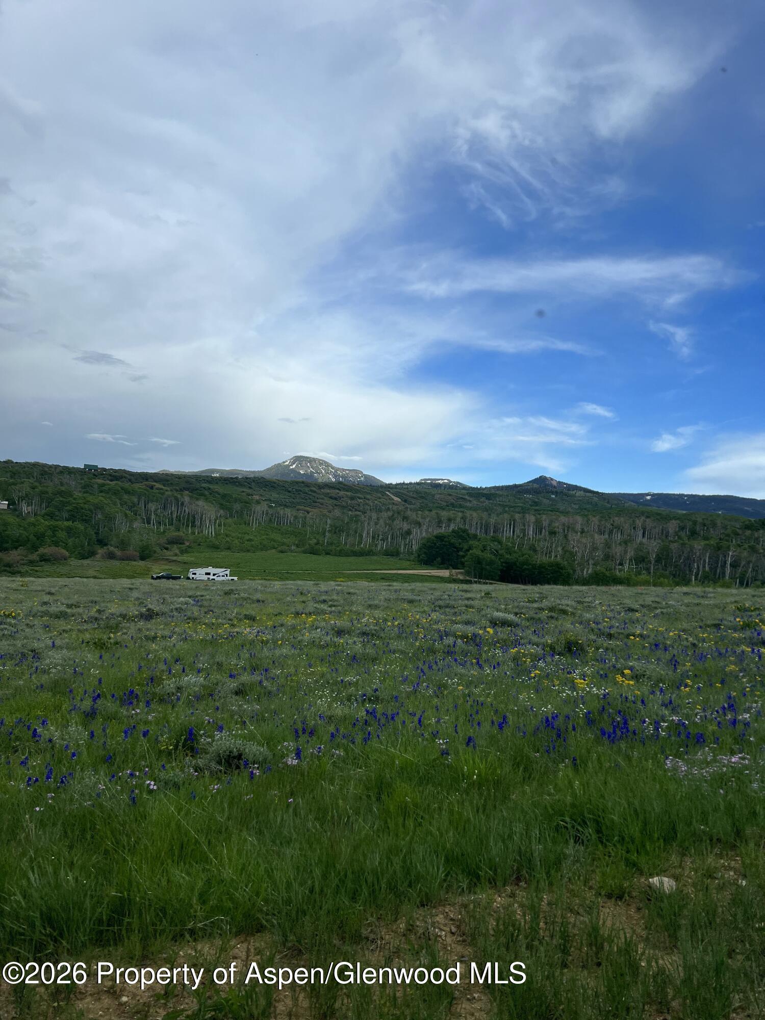 1351 Fiddleneck Drive Craig, CO 81625 - Photo 15 of 16 a view of a green field with lots of green space