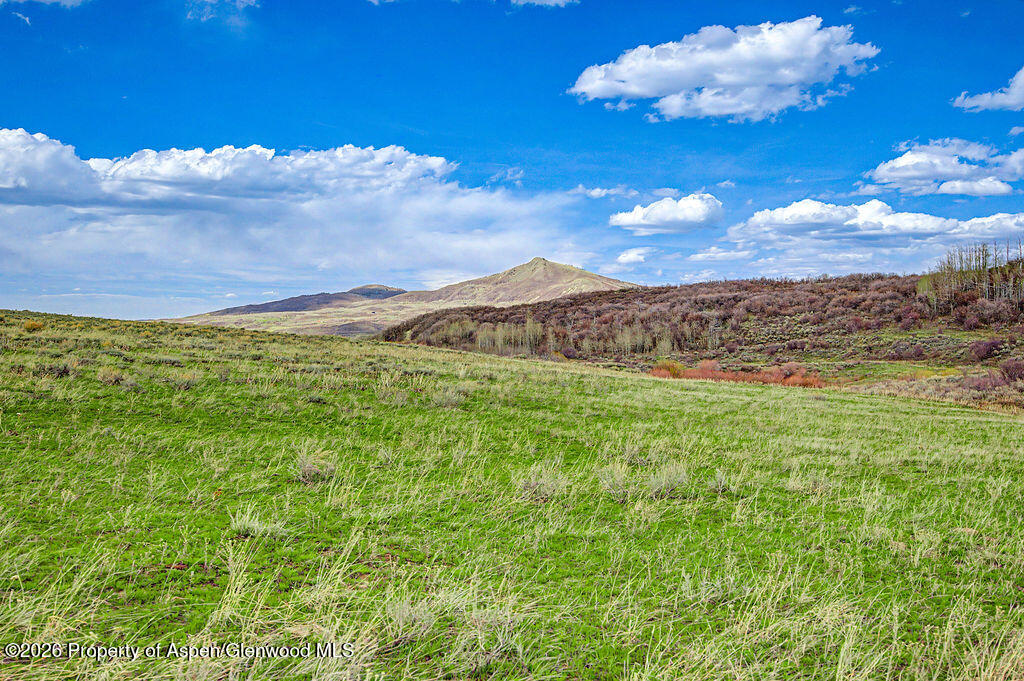 1351 Fiddleneck Drive Craig, CO 81625 - Photo 16 of 16 a view of a big yard with lots of green space