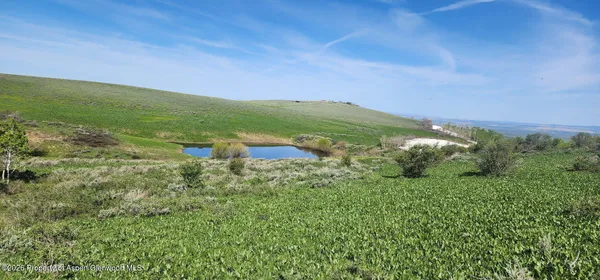 a view of a field with an ocean