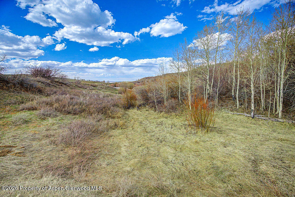 1351 Fiddleneck Drive Craig, CO 81625 - Photo 5 of 16 a view of a yard with an trees