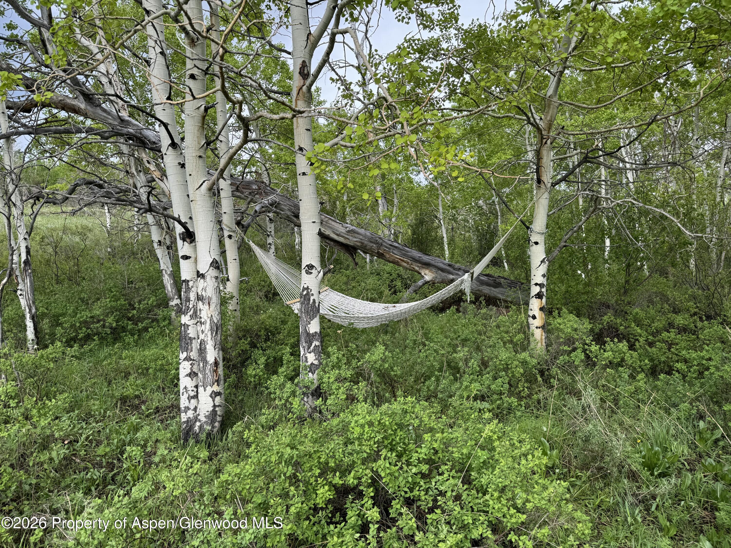 1351 Fiddleneck Drive Craig, CO 81625 - Photo 6 of 16 a backyard of a house with lots of green space and fountain