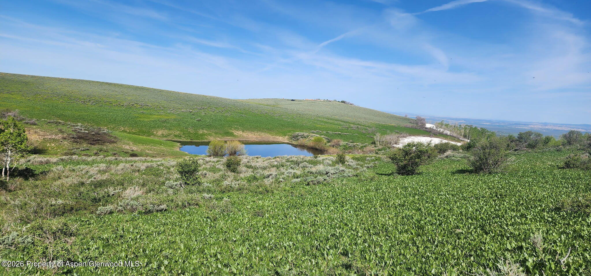 1351 Fiddleneck Drive Craig, CO 81625 - Photo 8 of 16 a view of a field with an ocean
