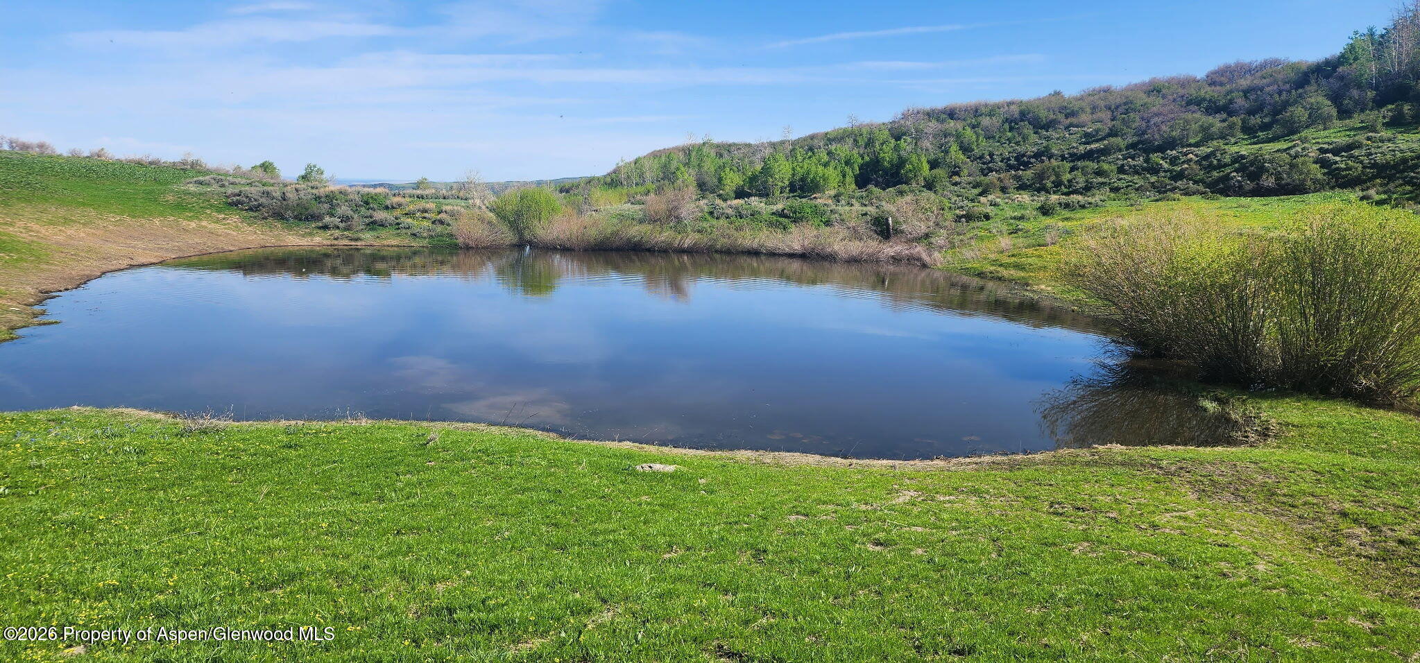1351 Fiddleneck Drive Craig, CO 81625 - Photo 9 of 16 a view of a lake from a yard