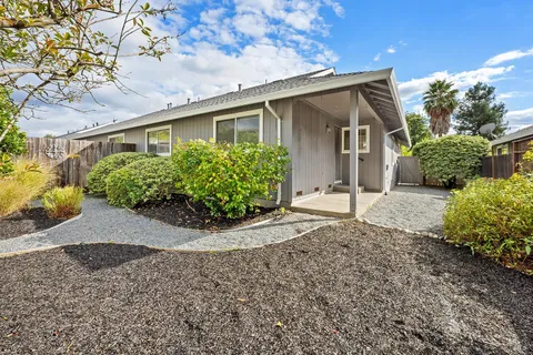 a view of a backyard with plants