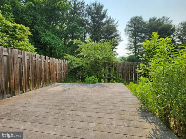 a utility room with lots of trees