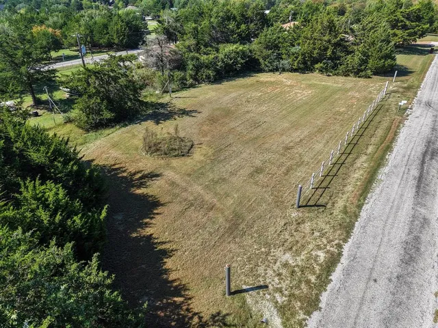 a view of a yard with plants and large trees