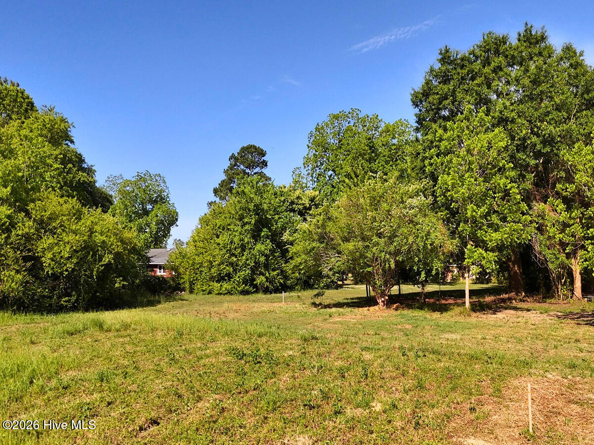 0 Old Chinquapin Road Beulaville, NC 28518 - Photo 21 of 31 21.