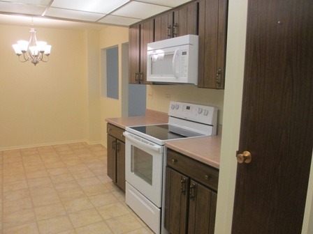 1727 West Crystal Lane, Unit 102 Mount Prospect, IL 60056 - Photo 4 of 5