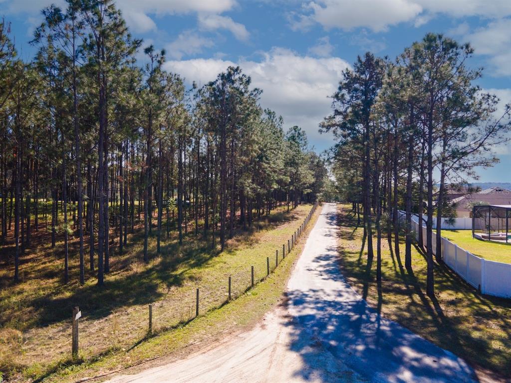 Lost Lake Road Clermont, FL 34711 - Photo 4 of 12