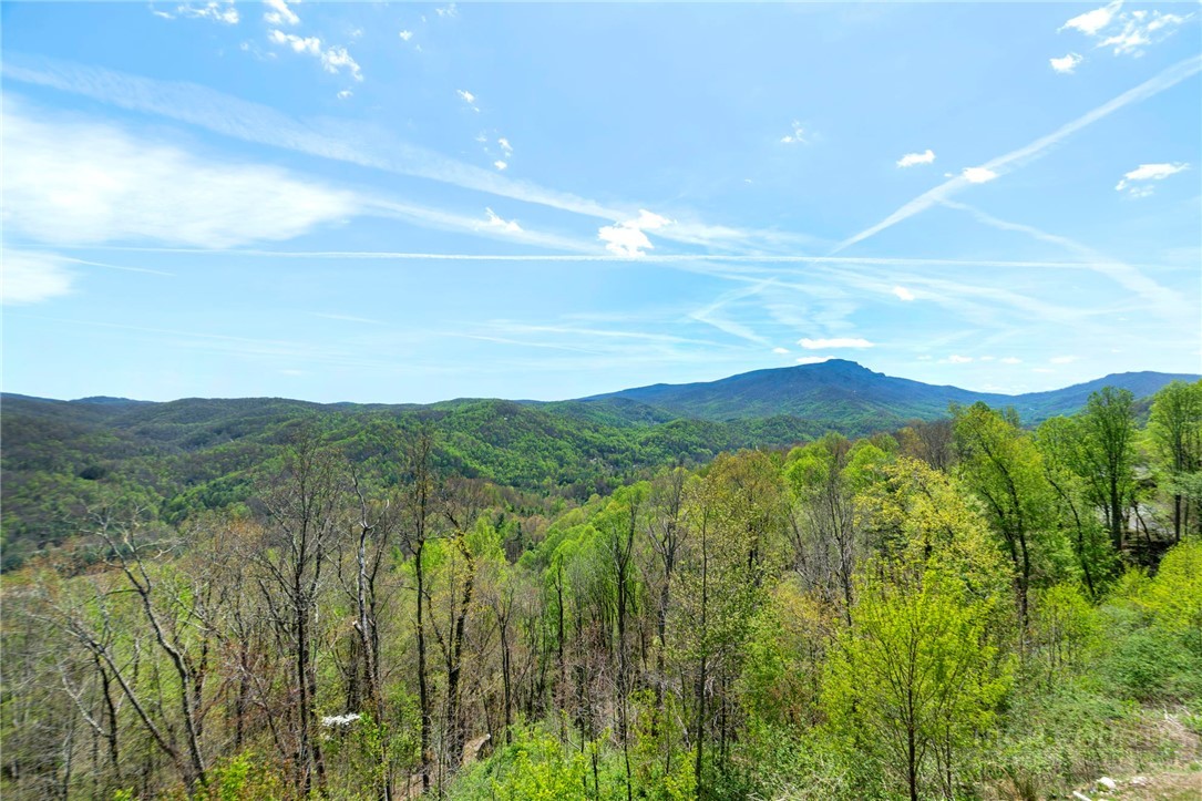 170 Profile Point, Unit S312 Boone, NC 28607 - Photo 17 of 38