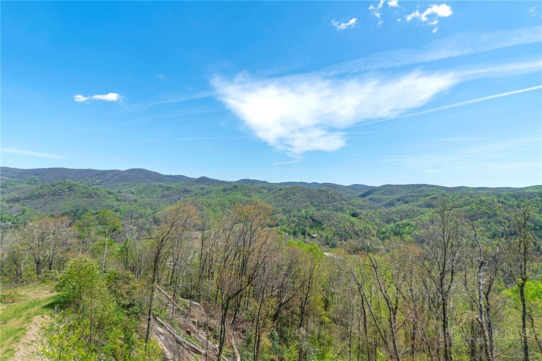 170 Profile Point, Unit S312 Boone, NC 28607 - Photo 18 of 38