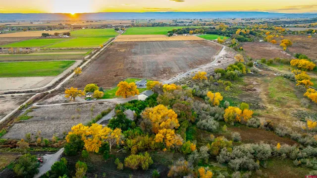 a view of a yard with an outdoor space