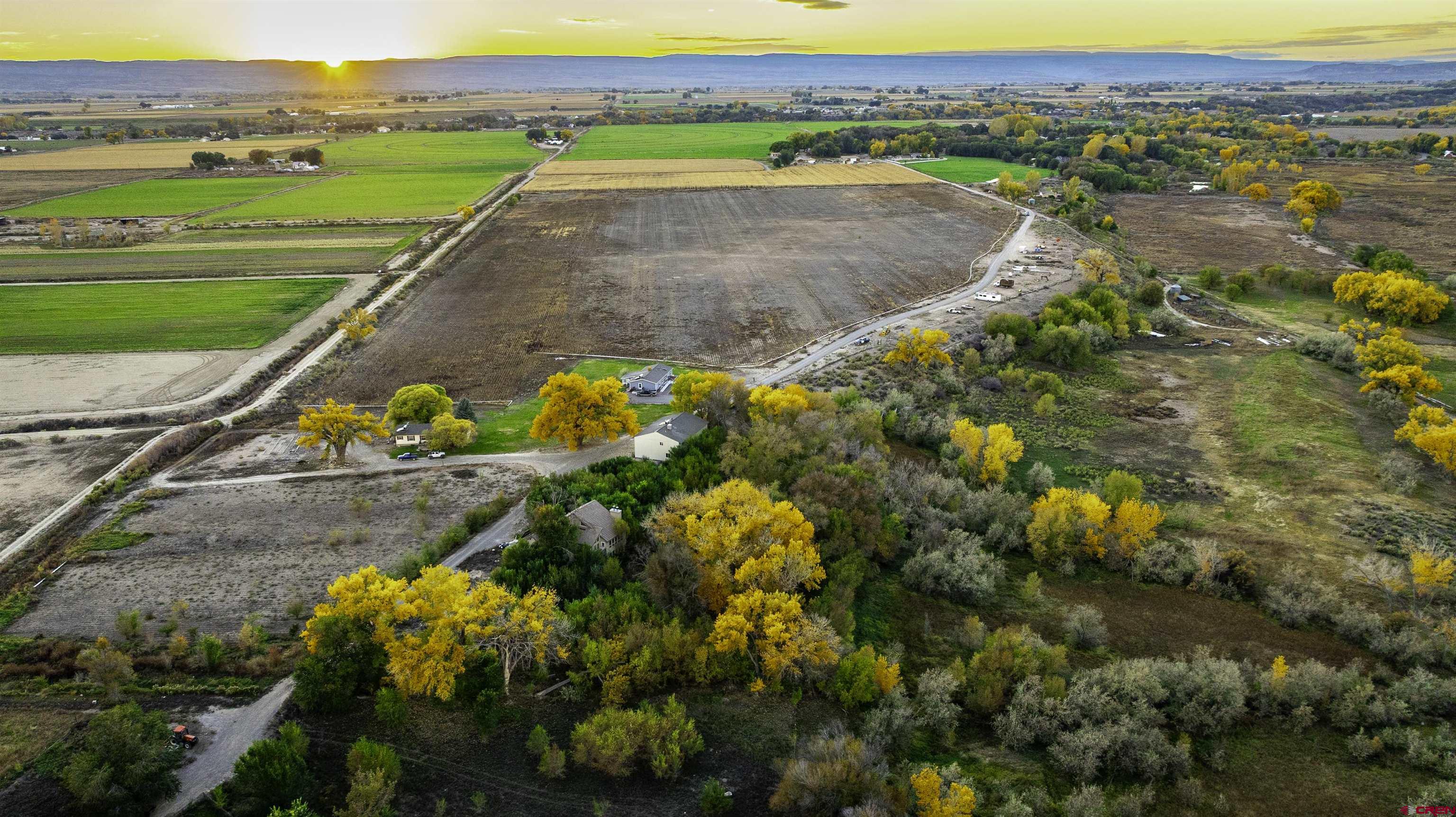 a view of a yard with an outdoor space