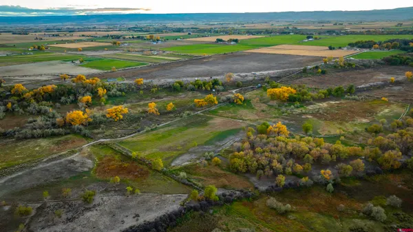 a view of a street with a yard