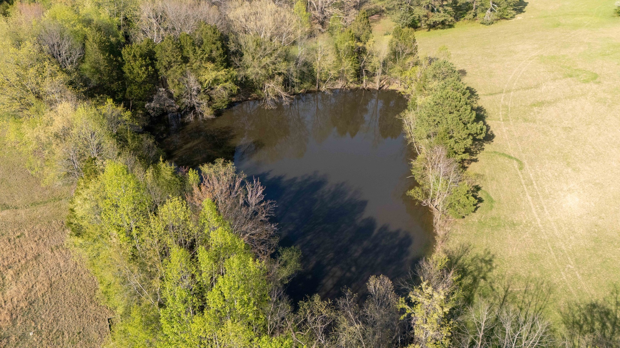 0 North Leath Road Portland, TN 37148 - Photo 8 of 10 a view of lake from next to house