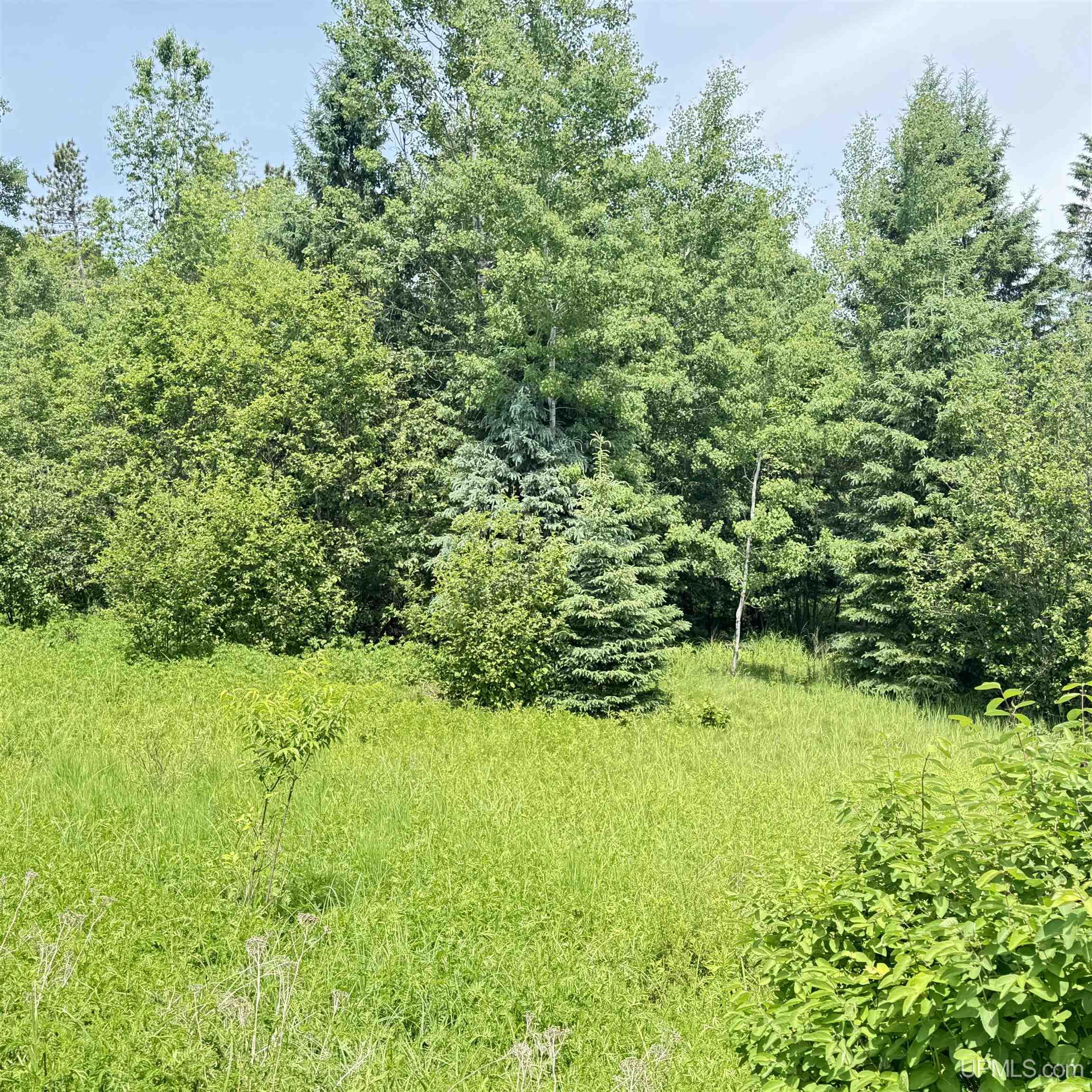 1669 Kofmehl Road Iron River, MI 49935 - Photo 37 of 49