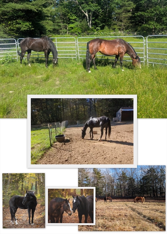 41 Bear Mountain Road Wendell, MA 01379 - Photo 5 of 42