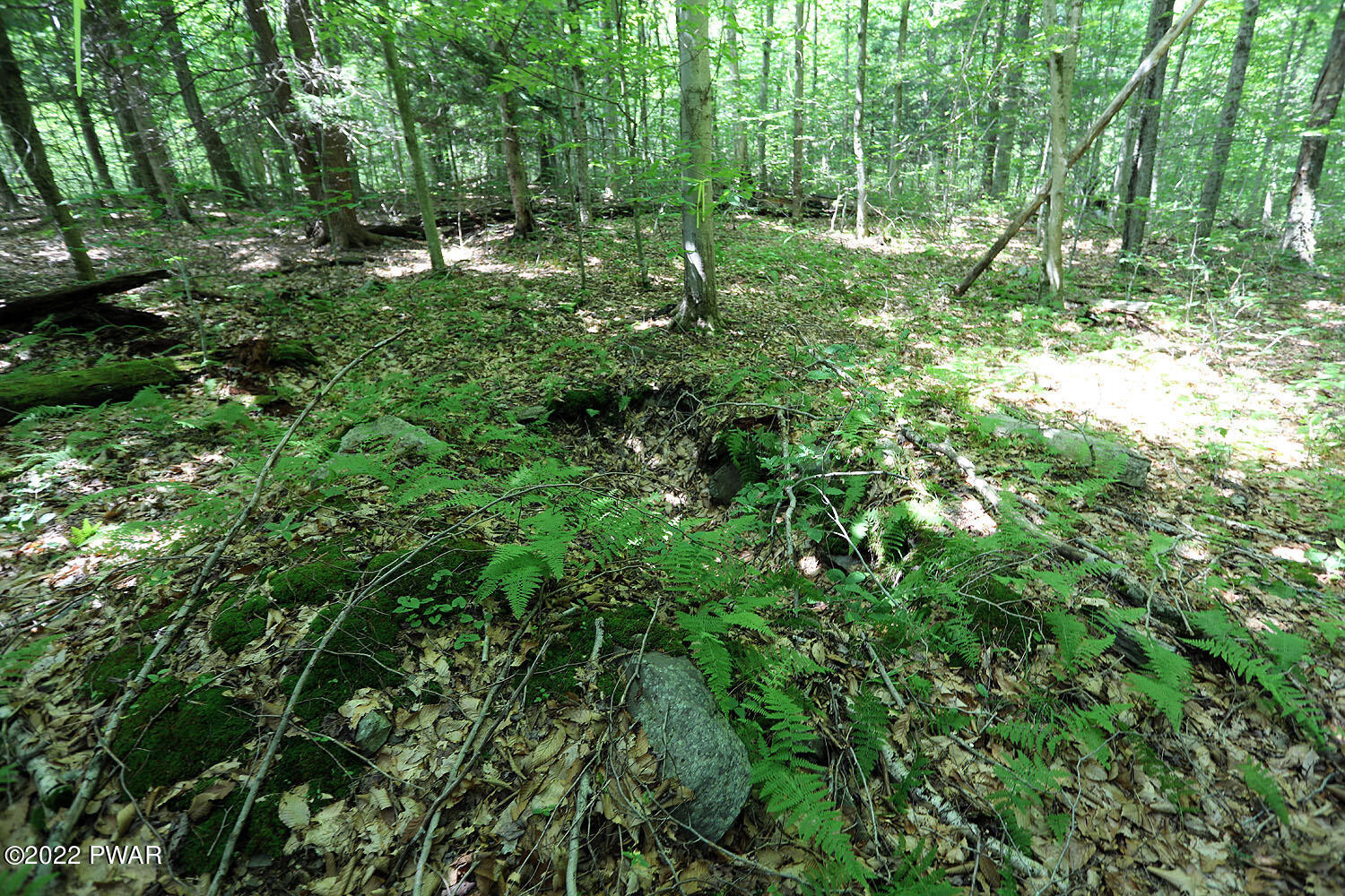 0 Minckler Mountain Road Damascus, PA 18415 - Photo 40 of 43