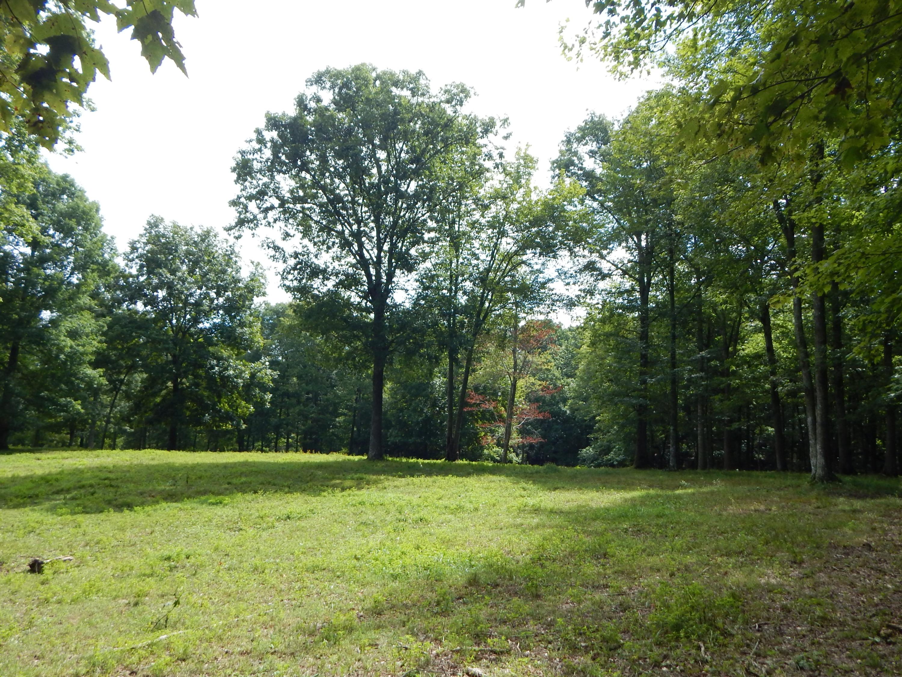 DSCN5077