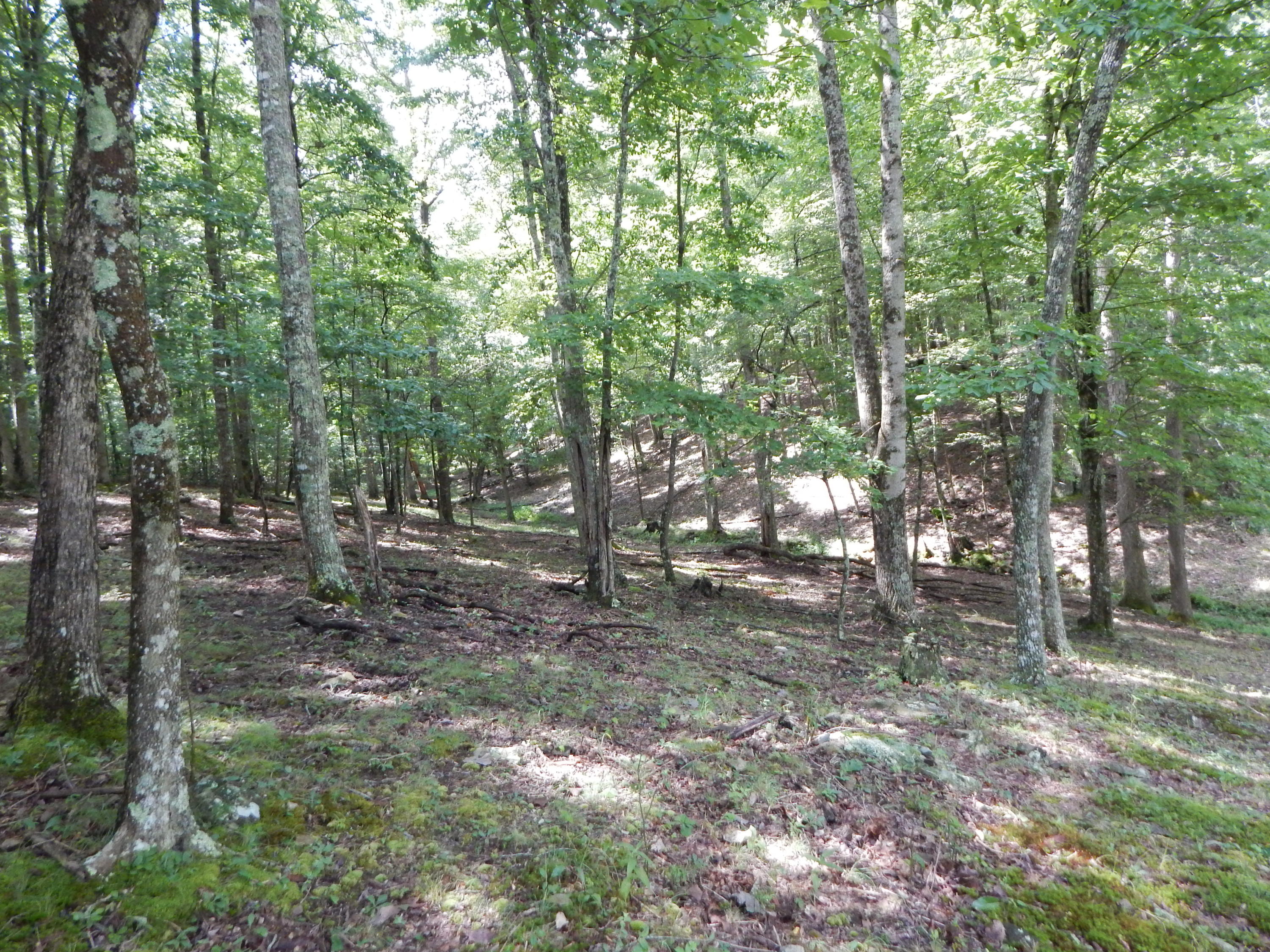 DSCN5080