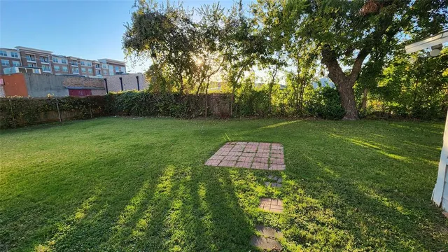 a view of yard with trees