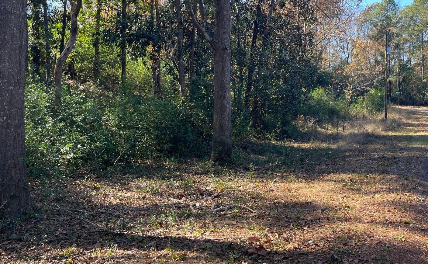 0 Spring Drive North Augusta, SC 29841 - Photo 3 of 4