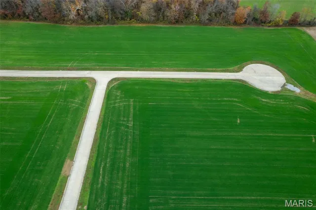 $50,000 | 325 Bertha E Dumey Drive, Benton, MO 63736