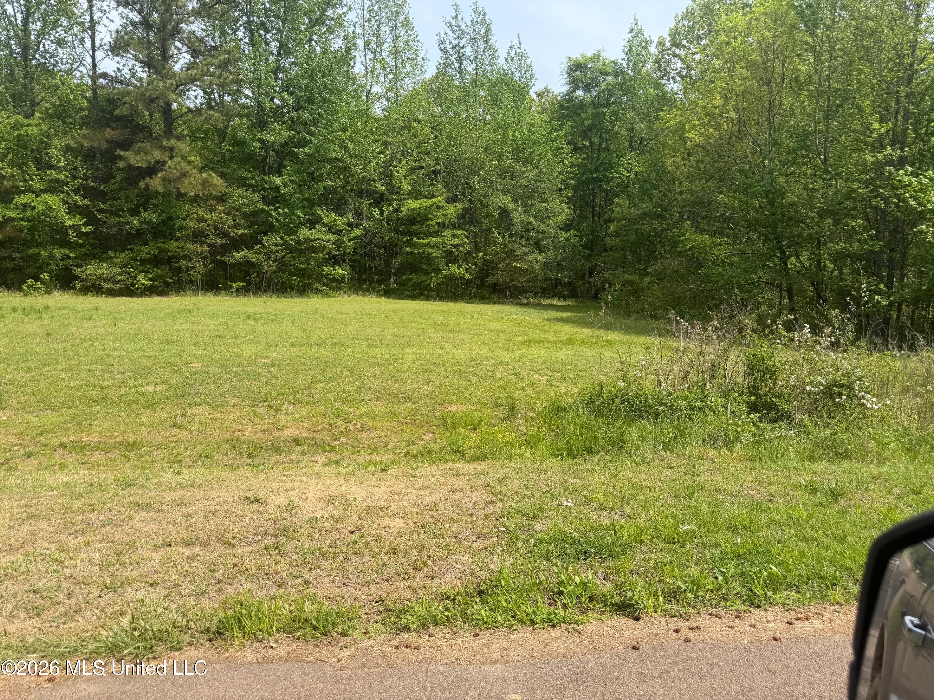 Shamrock Loop Byhalia, MS 38611 - Photo 2 of 4 IMG_0571