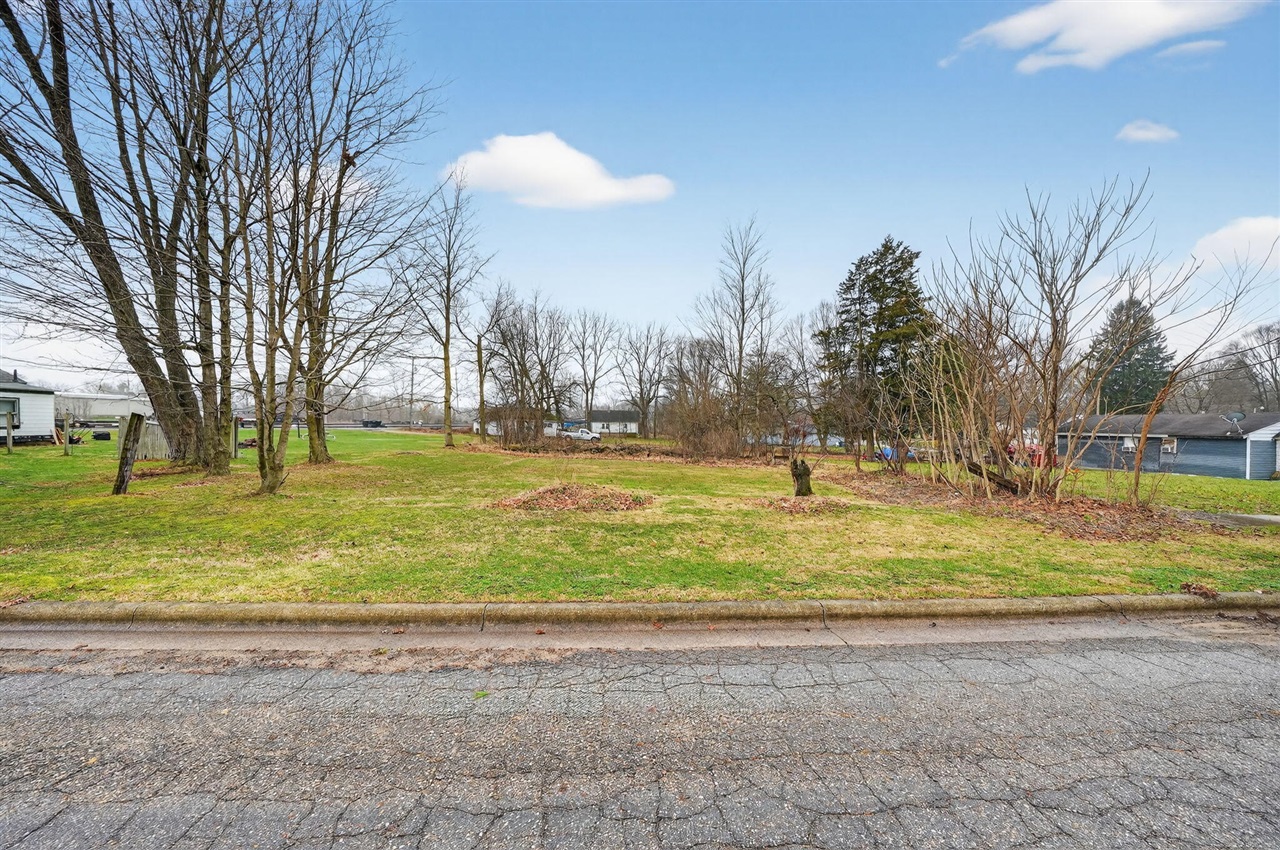 506 South Street Three Rivers, MI 49093 - Photo 6 of 9