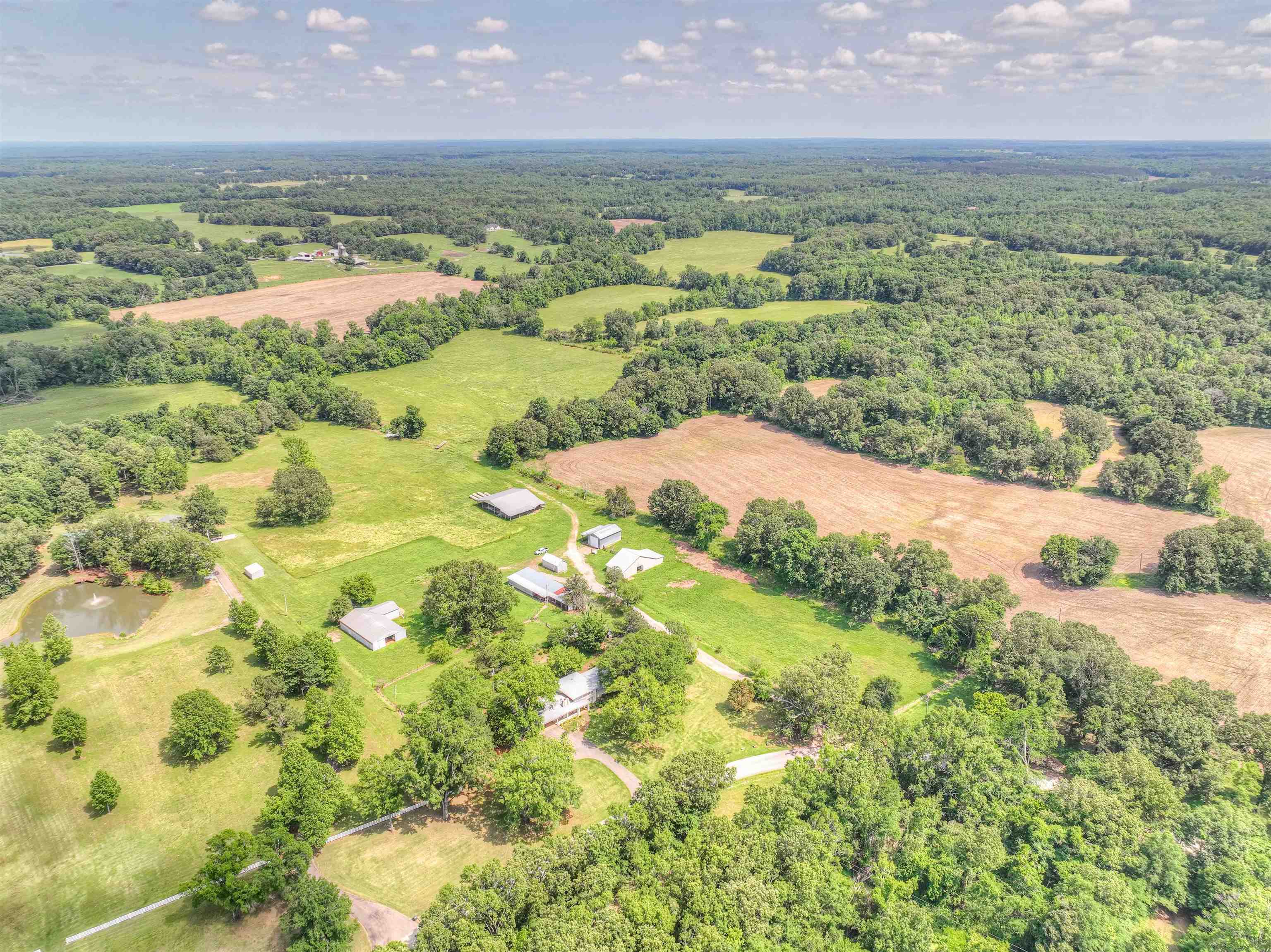 775 Pleasant Grove Road Moscow, TN 38057 - Photo 10 of 39 Gallery Image 10