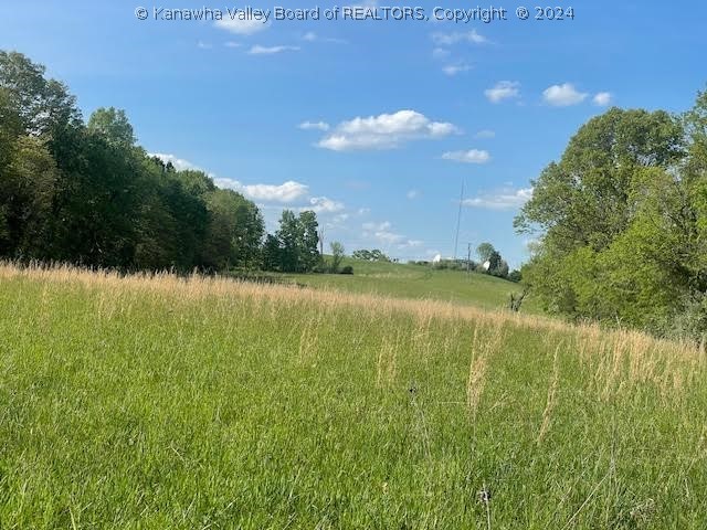 62 Ripley Road Millwood, WV 25262 - Photo 6 of 13 Gallery Image 6
