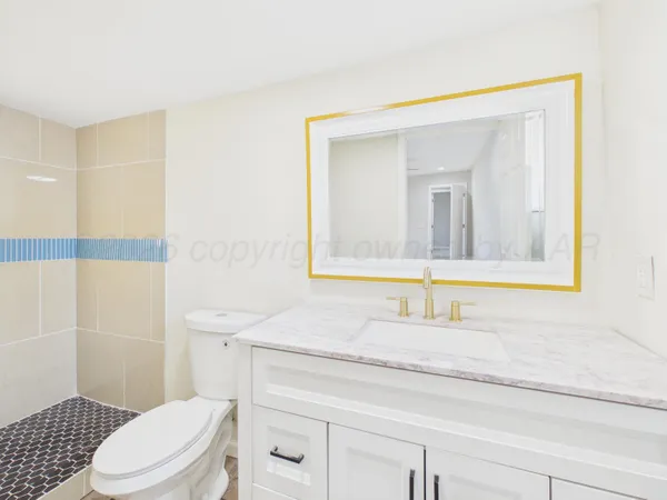 a bathroom with a sink toilet vanity and mirror