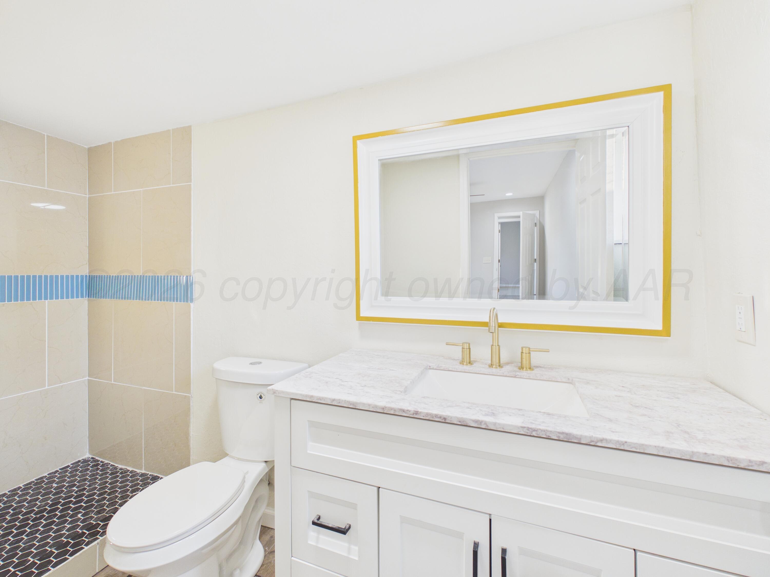 310 North Virginia Street Amarillo, TX 79106 - Photo 24 of 33 a bathroom with a sink toilet vanity and mirror