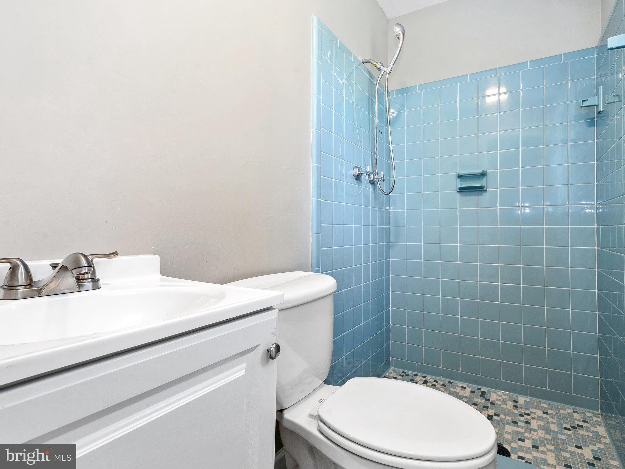 12423 Littleton Street Silver Spring, MD 20906 - Photo 18 of 28 Bath (Master)