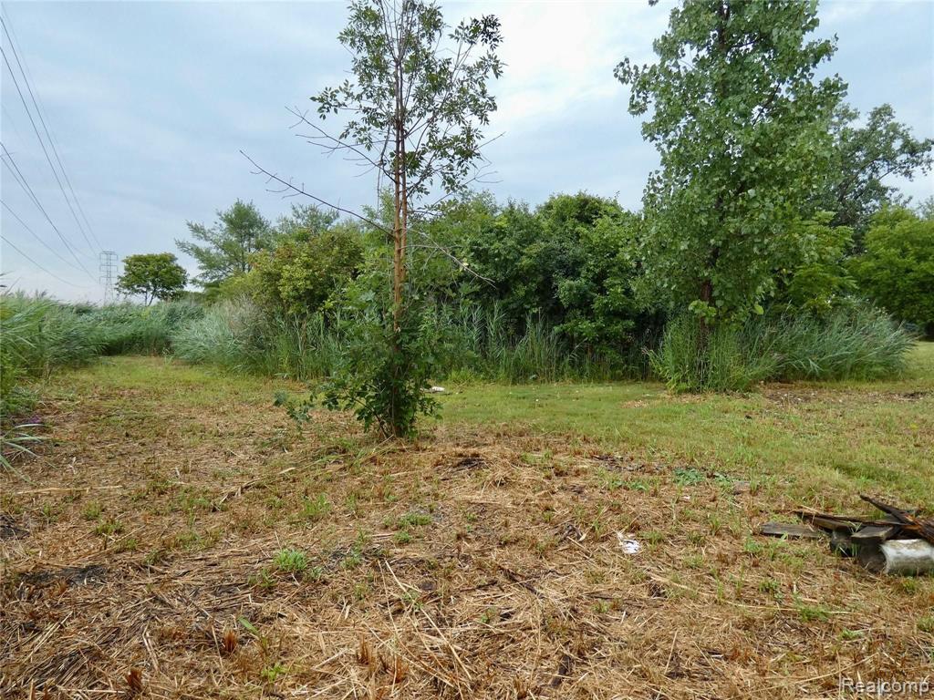 21332 Dix Toledo Road Woodhaven, MI 48183 - Photo 30 of 33