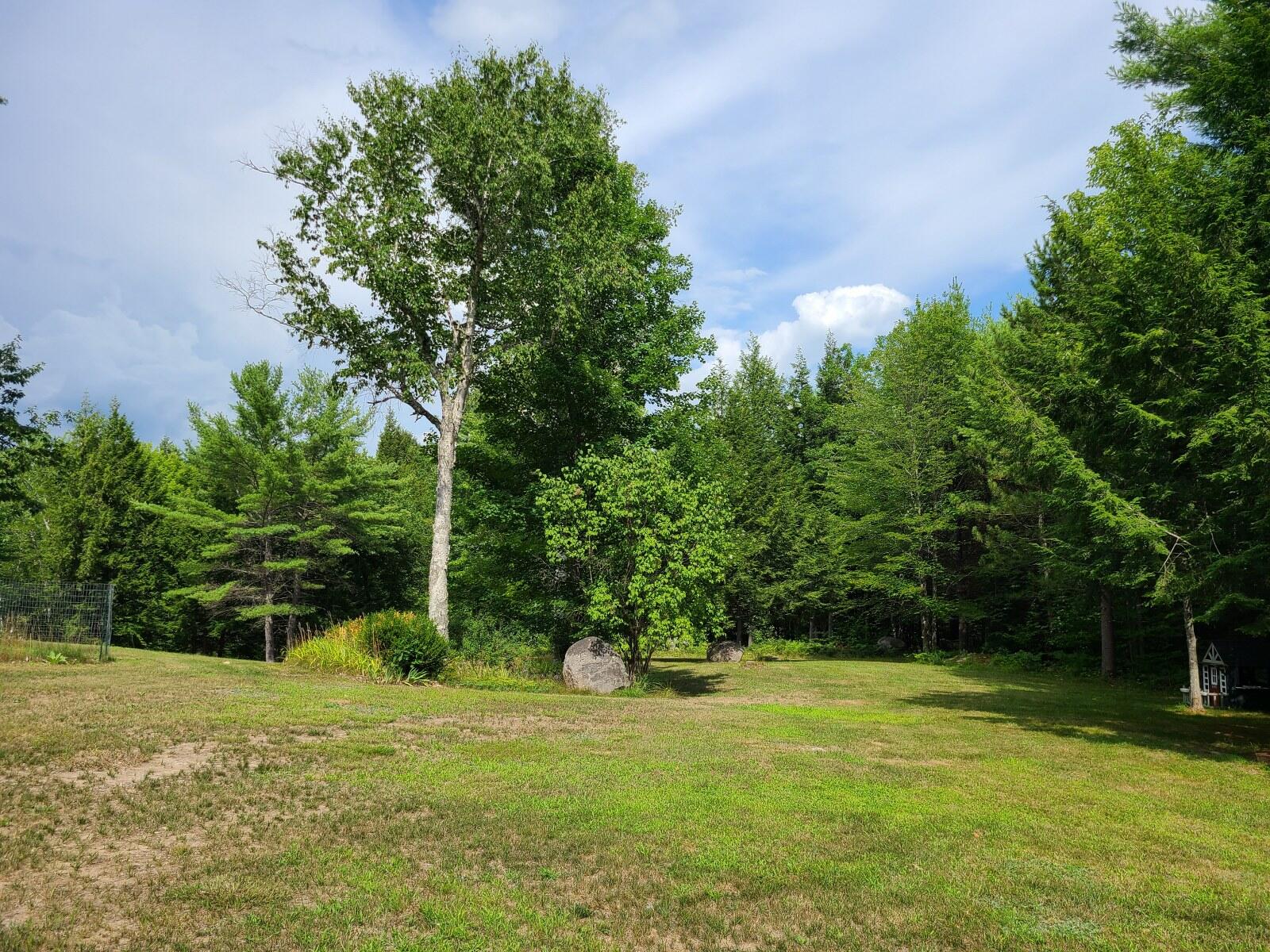 81 Raspberry Lane Bridgton, ME 04009 - Photo 16 of 93 12 ext yard 2_1600x1200
