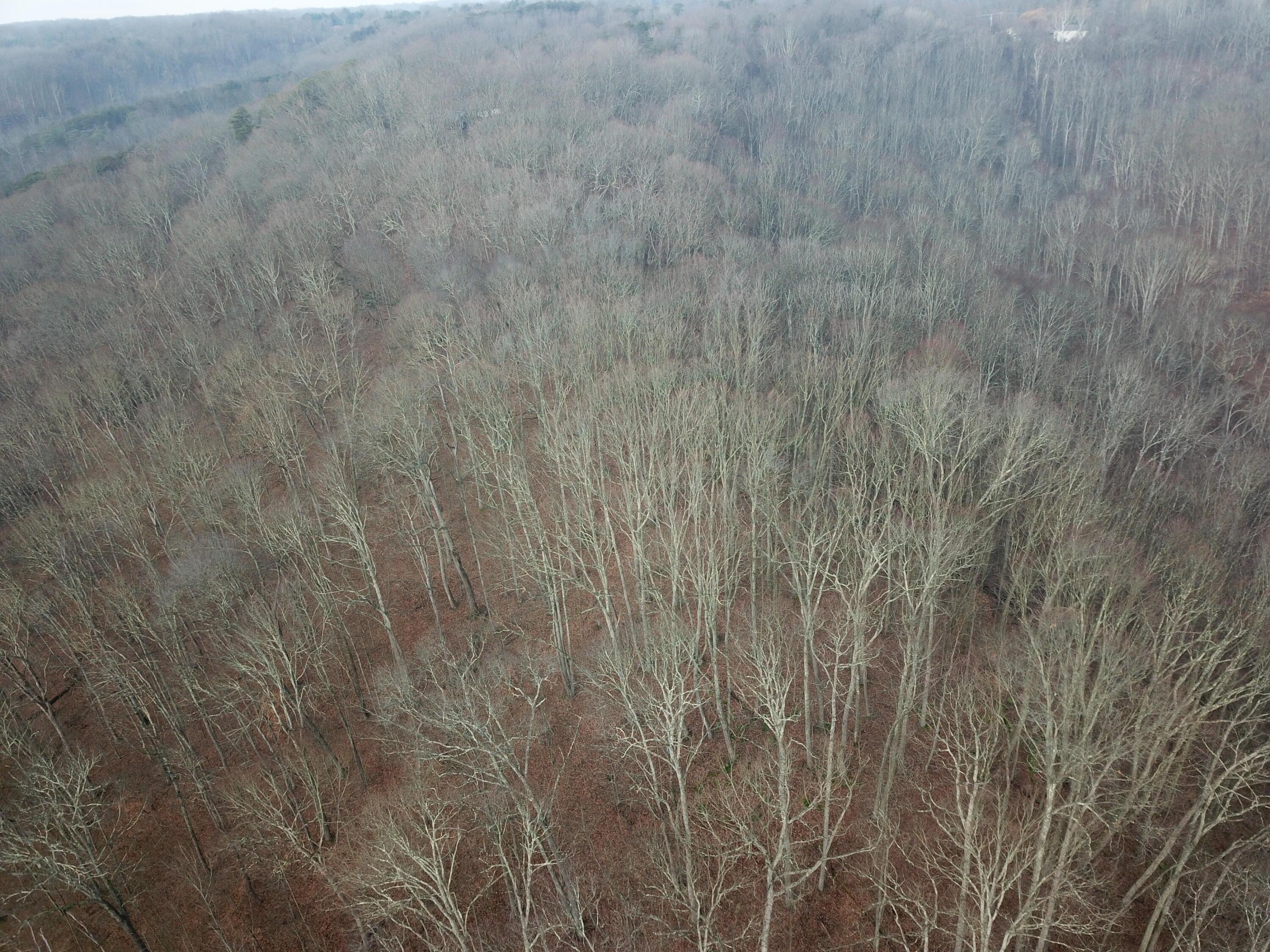 12001 West Buck Run Road Rockbridge, OH 43149 - Photo 6 of 12