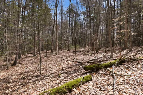 $300,000 | 0 Puckerbrush Road, Campton, NH 03223