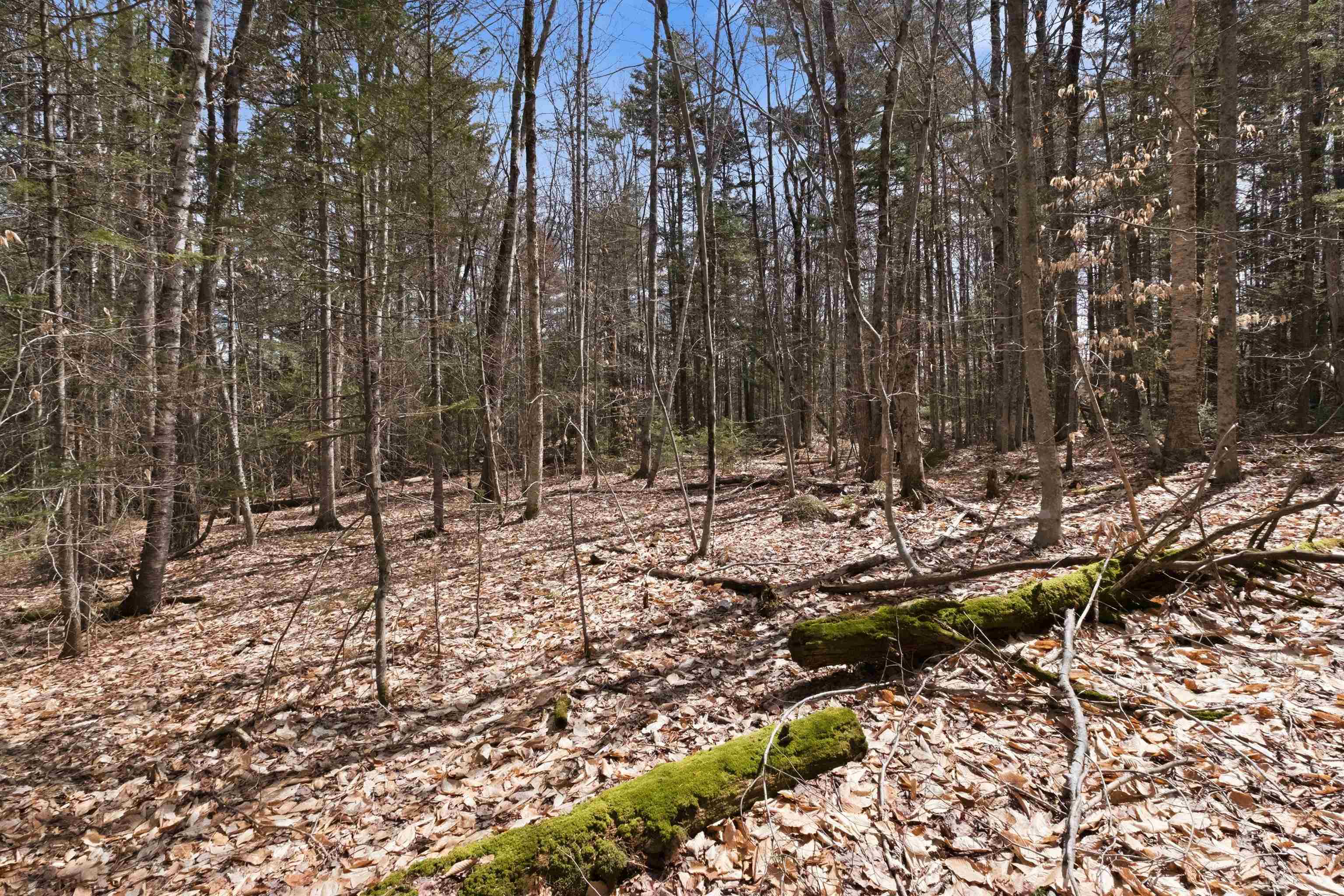 0 Puckerbrush Road Campton, NH 03223 - Photo 11 of 21