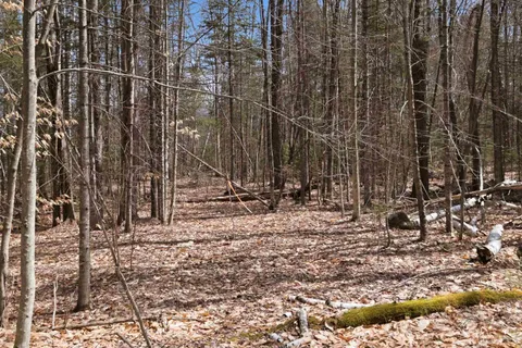 $300,000 | 0 Puckerbrush Road, Campton, NH 03223