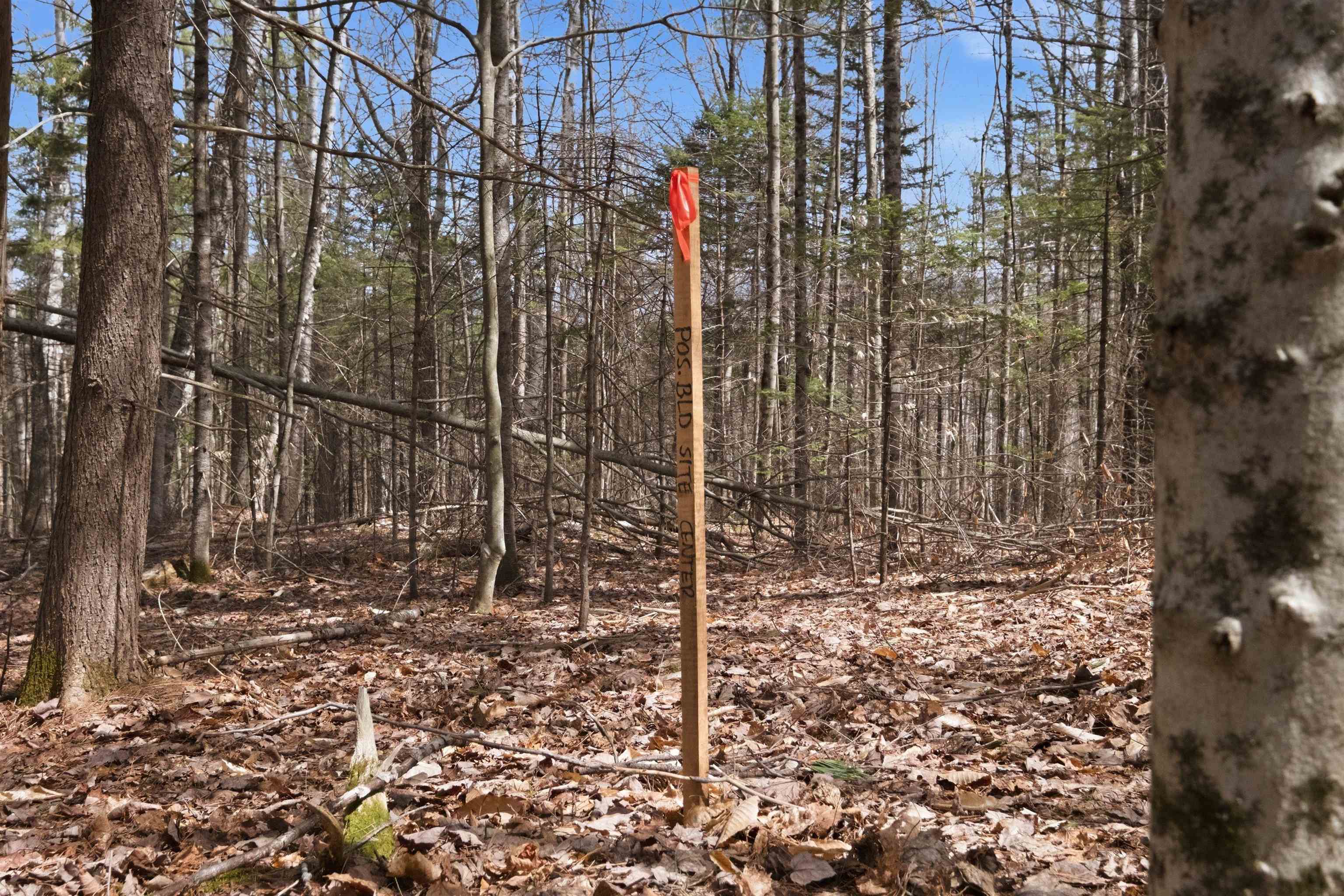 0 Puckerbrush Road Campton, NH 03223 - Photo 14 of 21