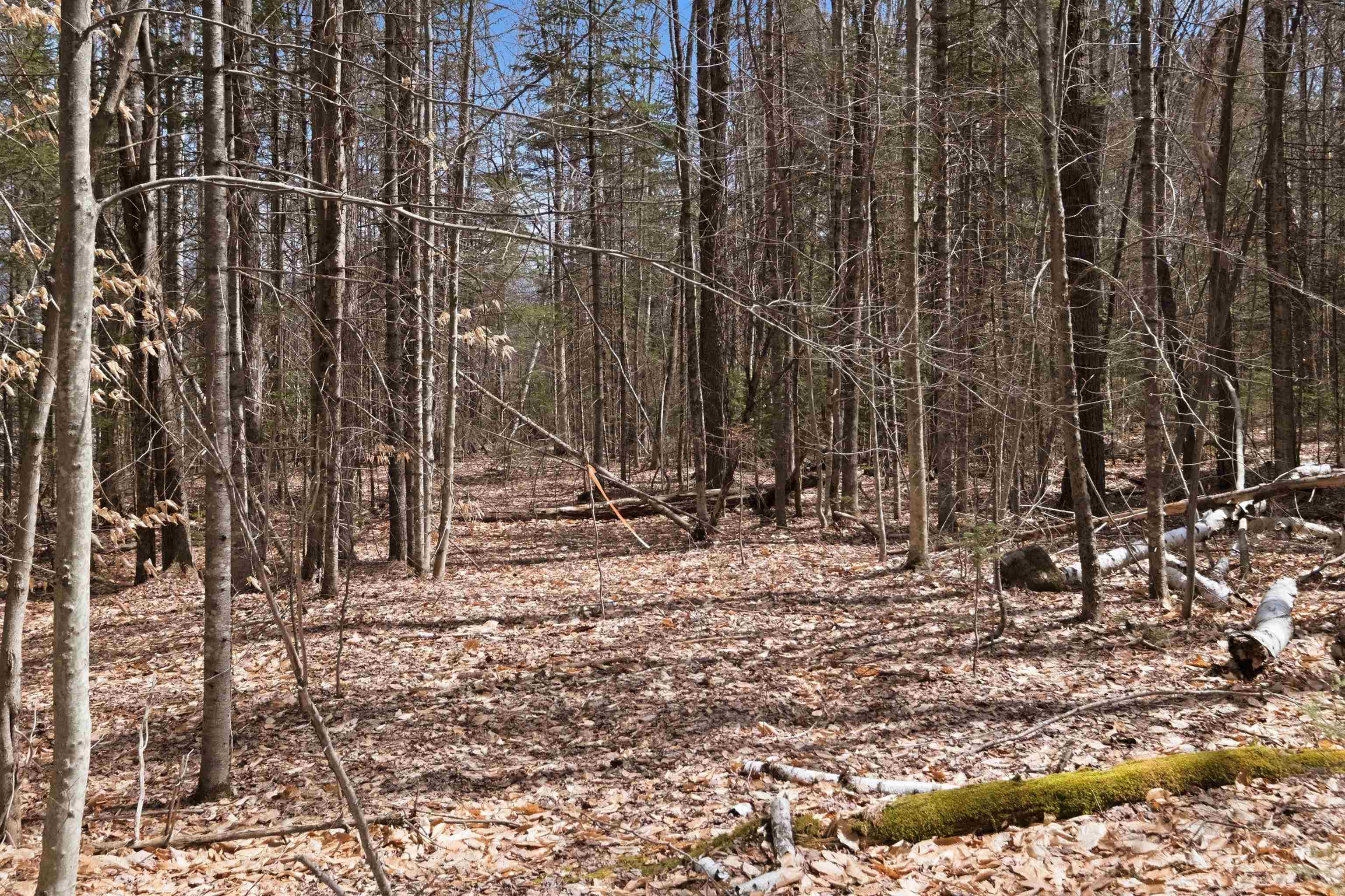 0 Puckerbrush Road Campton, NH 03223 - Photo 14 of 18