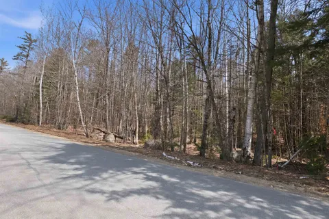 $300,000 | 0 Puckerbrush Road, Campton, NH 03223
