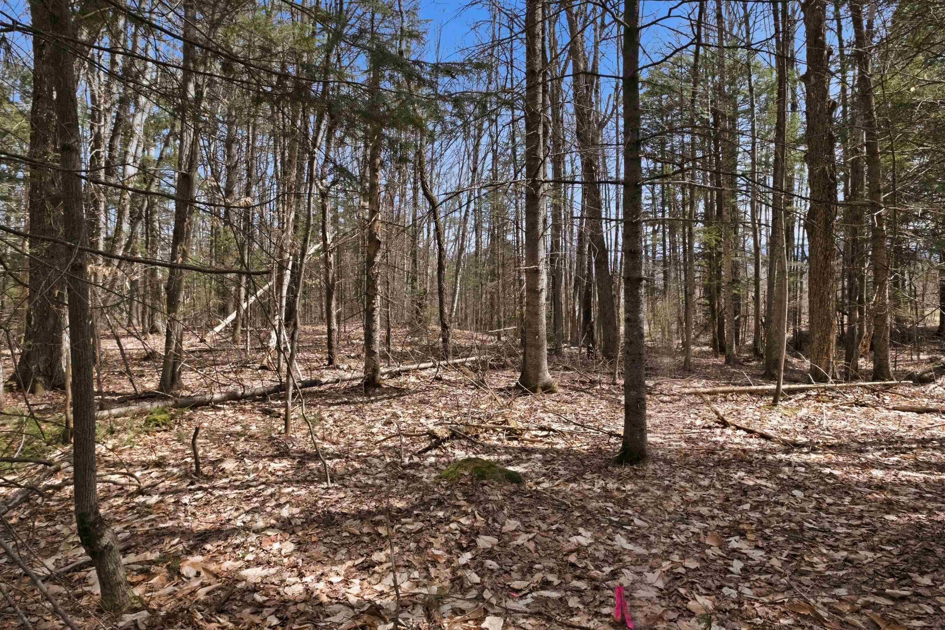 0 Puckerbrush Road Campton, NH 03223 - Photo 17 of 21