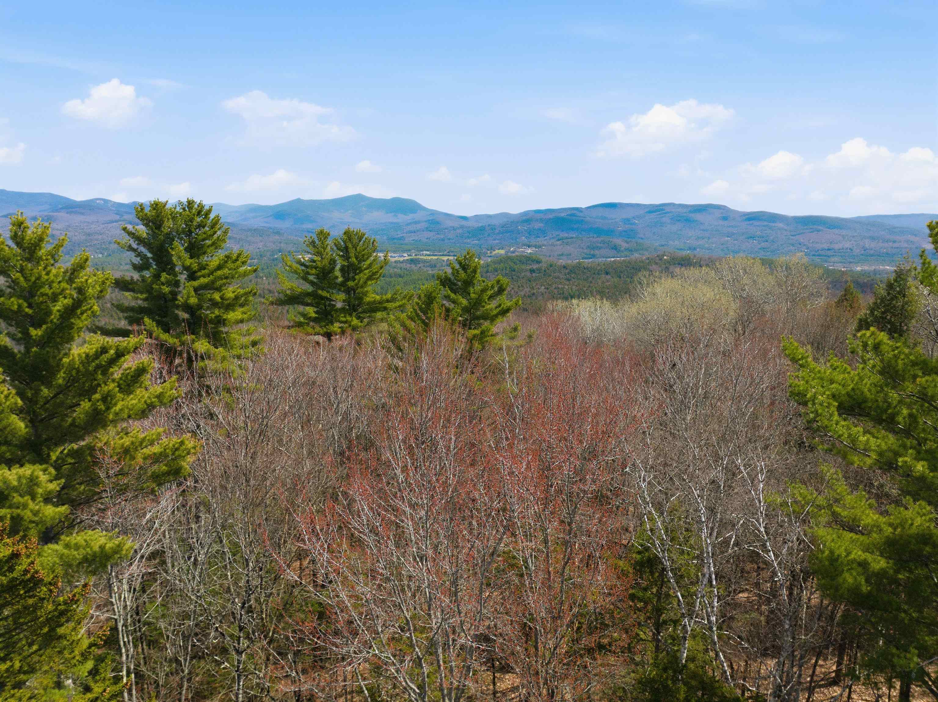 0 Puckerbrush Road Campton, NH 03223 - Photo 5 of 21