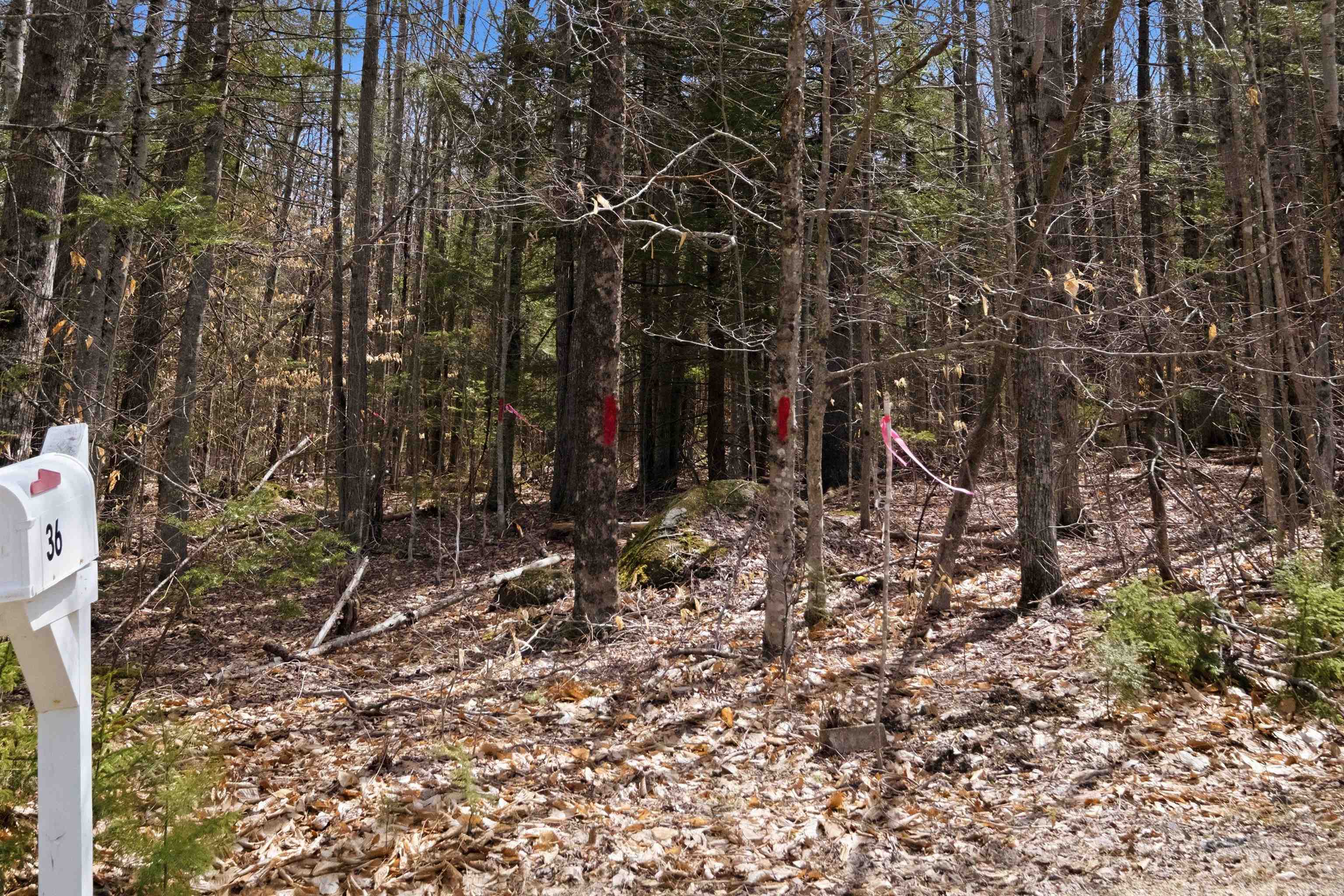 0 Puckerbrush Road Campton, NH 03223 - Photo 6 of 18