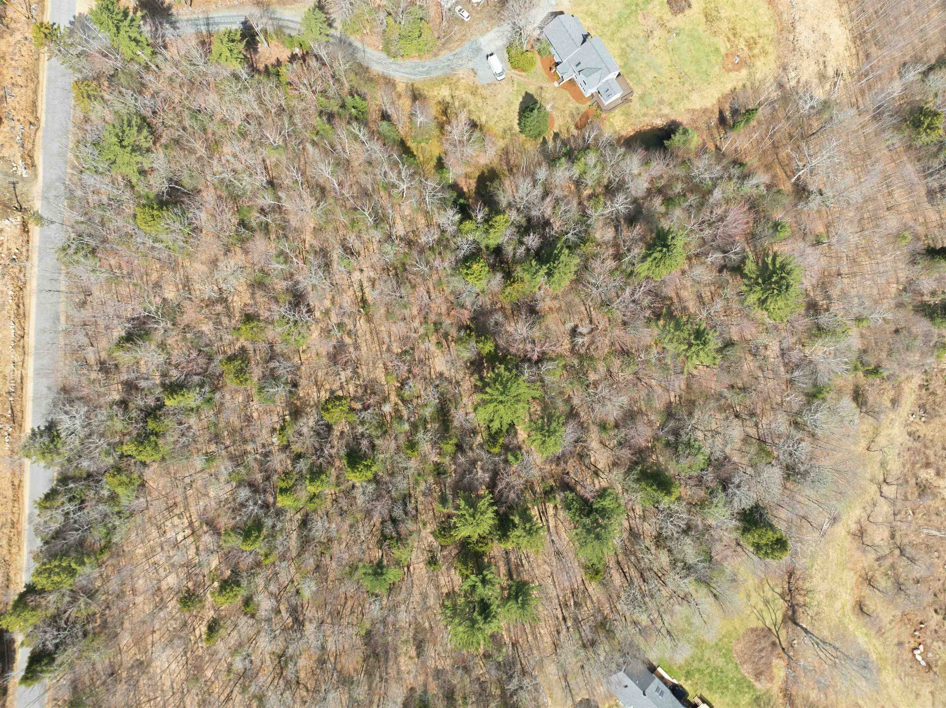 0 Puckerbrush Road Campton, NH 03223 - Photo 8 of 21